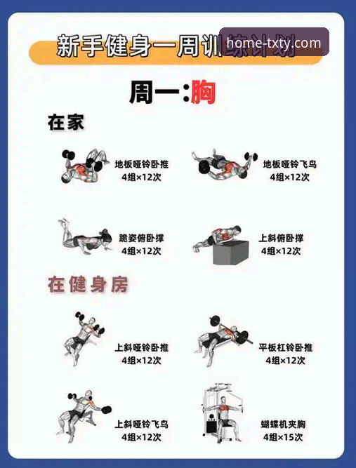 天行体育教程功能详解 天行体育平台核心功能深度解析:从新手到高手的完整操作指南