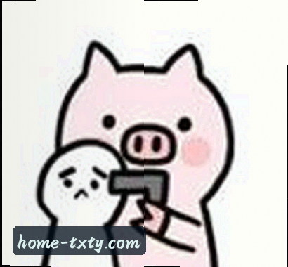 刚创业的王总